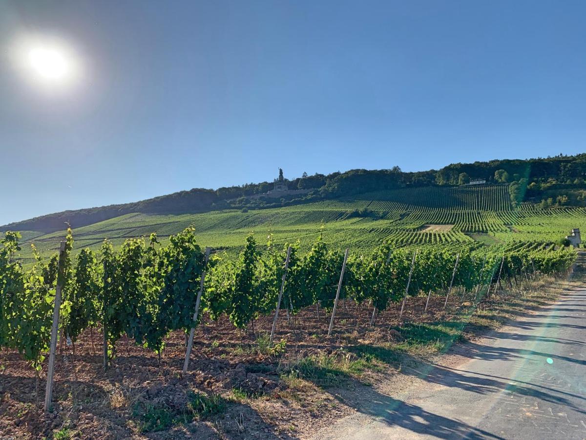 Fewo Zum Malerwinkel - Ruedesheim 吕德斯海姆 外观 照片